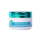 Picardy Whitening Alpha Arbutin Beauty Cream 4 in 1